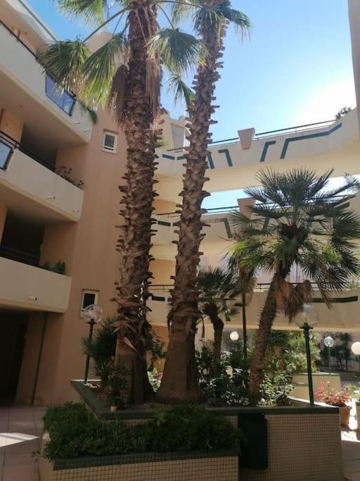 Appartement Vue Mer Сет Экстерьер фото